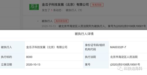 瓜子二手車成被執(zhí)行人，8000元執(zhí)行標的牽出技術(shù)開發(fā)糾紛